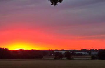 Waldpension Gussow - Foto 14