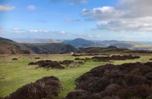 Lavender Cottage, 3 School Road, Clun, Shropshire - Foto 11
