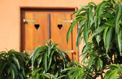 Kuća za odmor "Nedeljko"/ Holliday hause "Nedeljko" - Foto 13