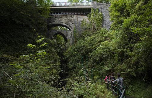 2 Bed in Capel Bangor oc-m30146 - Foto 21