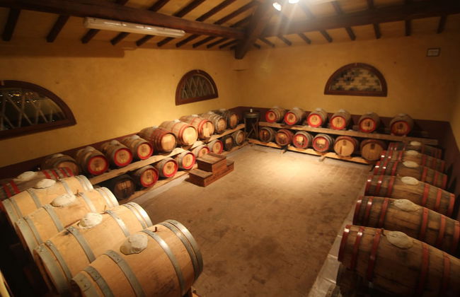 Agriturismo La Fattoria di Capezzana - Foto 37