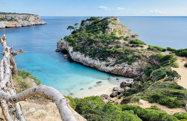 Apartaments Marina Sol i Pins - Foto 23