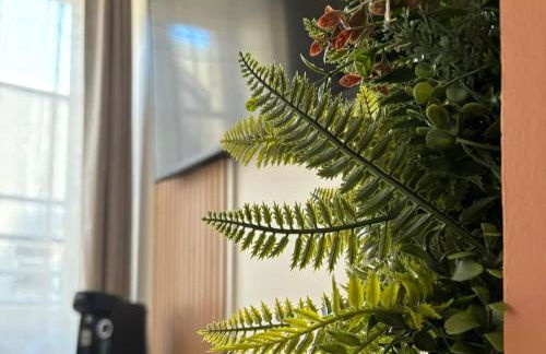 Cocon du Berry cœur historique - Foto 1