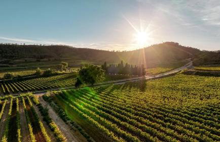 L'étoile de Châtenois - Foto 16