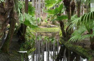 Polynesian Koi Pond Gardens Condo in Hilo w pool - Foto 25