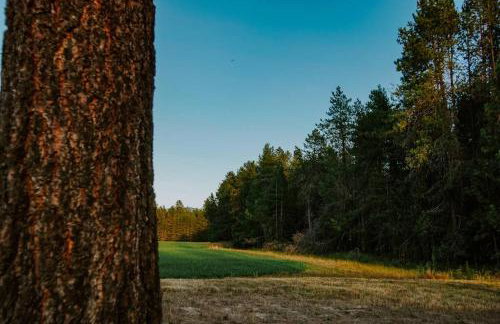 Luxe Nordic Barndominium Retreat at Black Pine - Foto 31