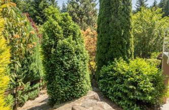 Le Chant du Ruisseau SPA - Sauna - Foto 25