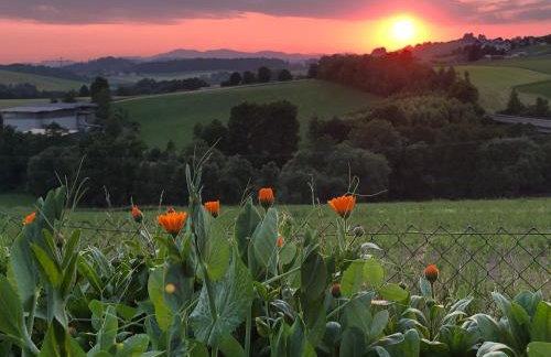 Ferienwohnung Mintbraun - Foto 17