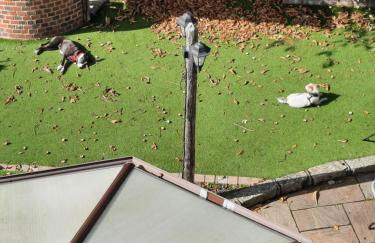 Stoke villas - Photo 17