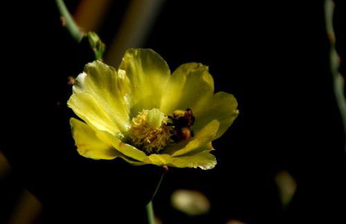 Hotel Agriturismo Santa Margherita - Foto 80