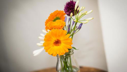 Alpaca Fold - Foto 3