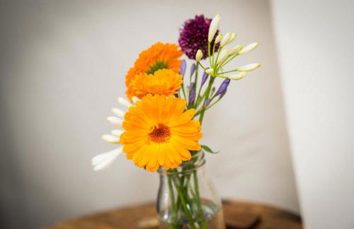 Alpaca Fold - Foto 3