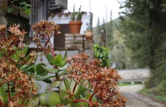 Feel Nature en La Casa de la Desconexión - Foto 46