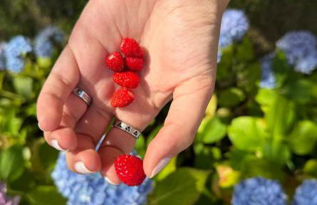 Maison de charme - Foto 14