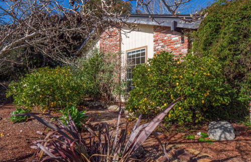 Amazing Santa Cruz Landscaped Paradise - Foto 55