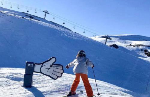 FLOR de MONTANHAS Appt vacances 4P- La Pierre St Martin GR10 - Foto 38