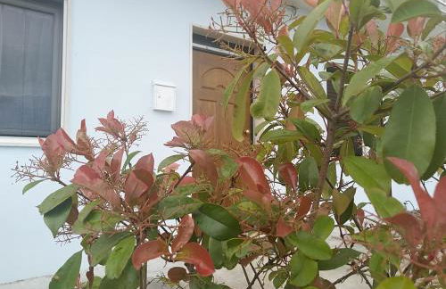 Rosa dei Venti house - Photo 24