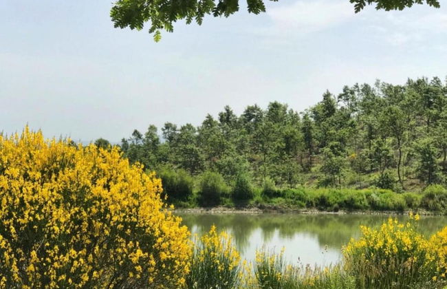 Villa With Pool in Sarteano - Foto 37