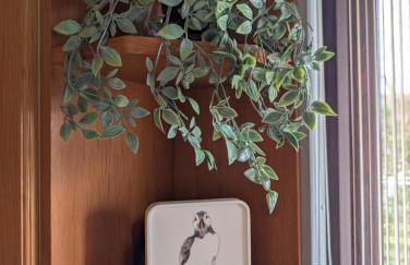 8 Jib Park, Orkney Islands - Photo 13