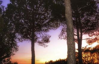 Casa Dei Lecci - Photo 40