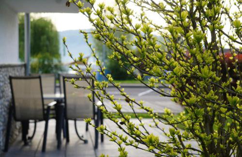 Direkt am See - Bodenseeresidenz in Bodman - Foto 43