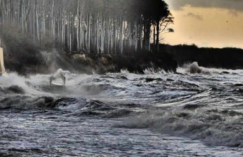 Ferienwohnung Bad Doberan - Foto 29