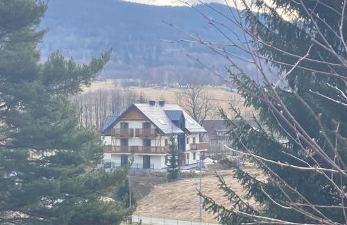 nowy apartament Płomykówka w Willi Sowiej - Foto 24