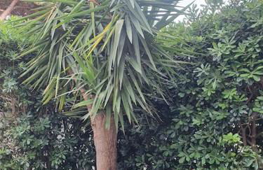 ççç Holiday Properties Le Vele ççç - Foto 32