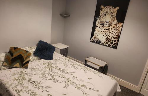 Apartment - Sleeps 5 - Great Location - Parking - Foto 63