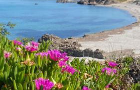 Julian's house Portopollo - Photo 26