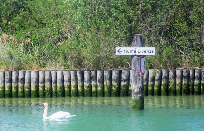 Agriturismo Sesta Presa - Foto 48