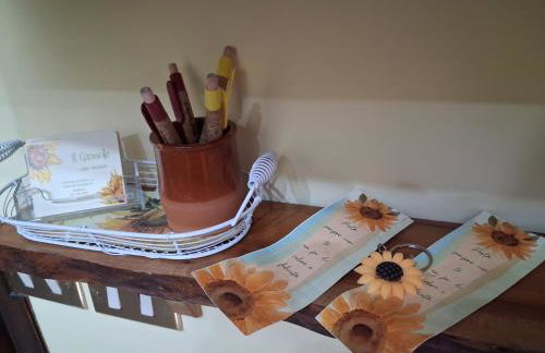 Il girasole - Foto 26