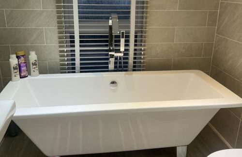 Elora's Dream - Foto 4