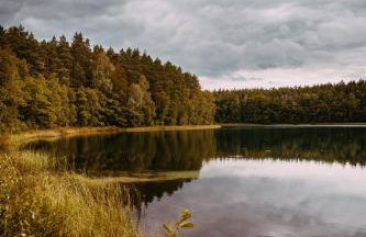 Jerzwałd 14 - Foto 14