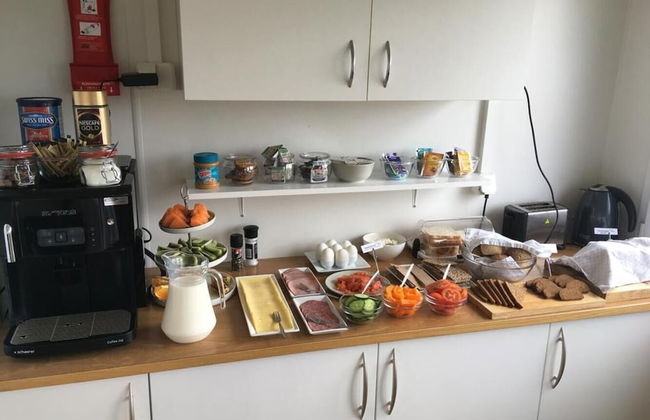 Aska Modern Cabin - Foto 20