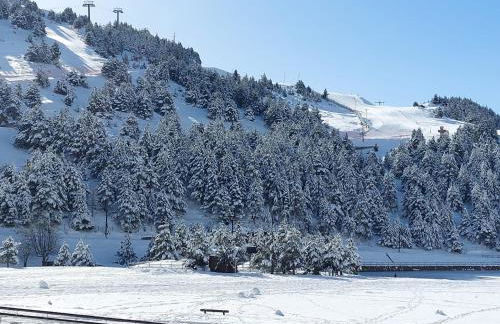 Apartament SIAT - Foto 46