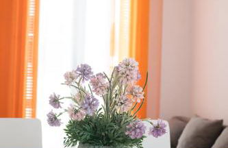 Hogar Vera Apartments&Bikes - Photo 53