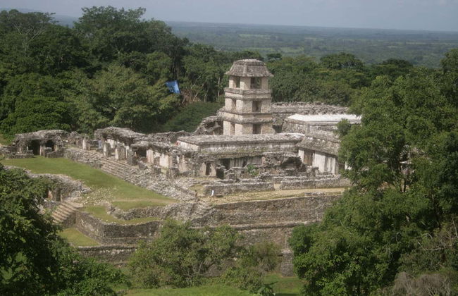 Tour privato del sito archeologico di Palenque - Foto 4