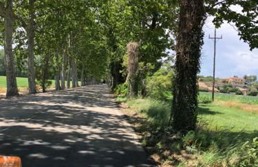 Mas Pinell Viu bé - Foto 24