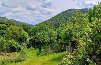 Ferienhütte Ilmtalblick - Foto 15