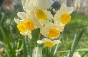 Logis huit clos calme et romantique proche Saumur - Photo 32