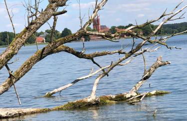 Bungalow am Dobbertiner See - Foto 14