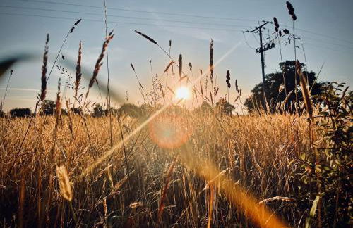 Fotheringhay Glamping - Foto 51