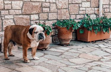 The Lady of the Lake - Photo 28