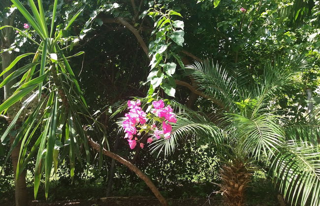 Condo Del Cielo - Foto 57