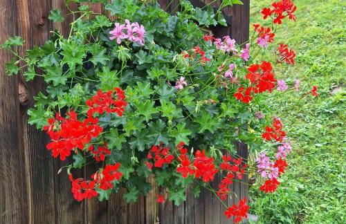 Apartment Romana - Foto 19