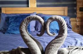 Cosy Cornish Cabin - Foto 29