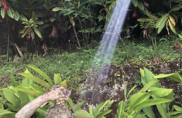 Casa com vista a praia da Barra do Sahy - Foto 38