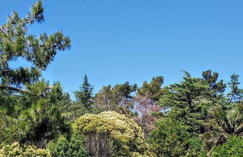 Mediterranean Beach House - Foto 7