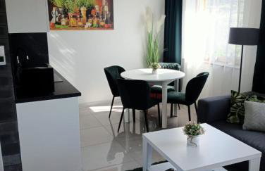 Apartamenty Na Brzegu Szczawnica - Photo 35